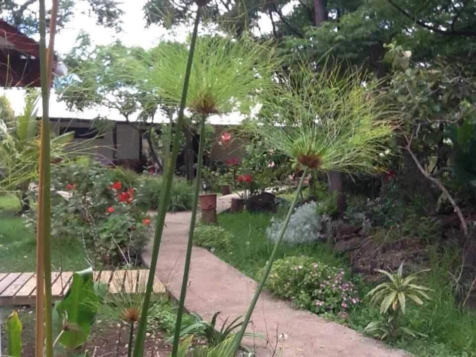 Atavai Hotel Rapa Nui Ханга-Роа Экстерьер фото