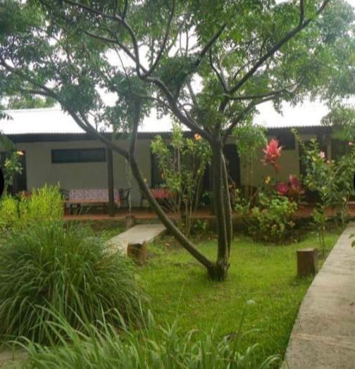 Atavai Hotel Rapa Nui Ханга-Роа Экстерьер фото